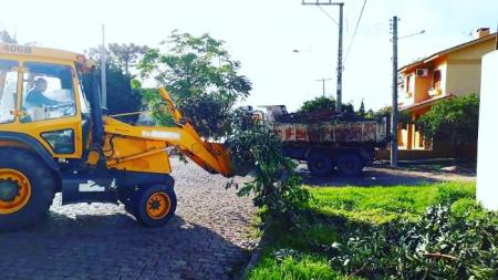 Secretaria de Obras informa próximos locais que terão coleta de podas de árvores